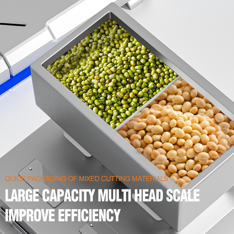 Double Head 999g Filling Machine 5